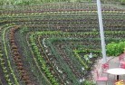 Caperteepermaculture-5.jpg; ?>